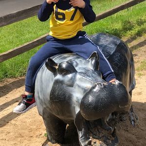 Meet your Posher, Lijun